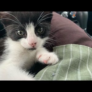 Meet your Posher, Vance